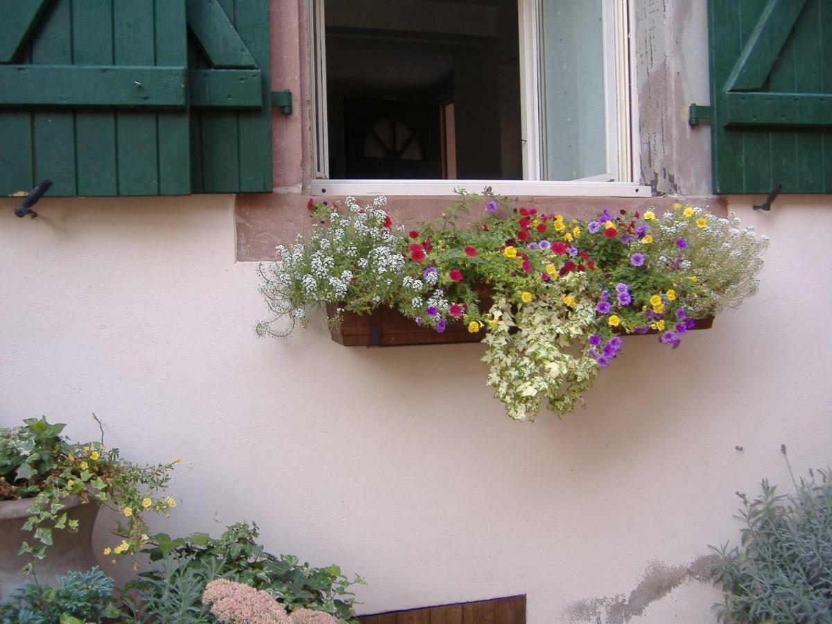 Charmant Petit Appartement En Alsace Bouxwiller  Exteriör bild