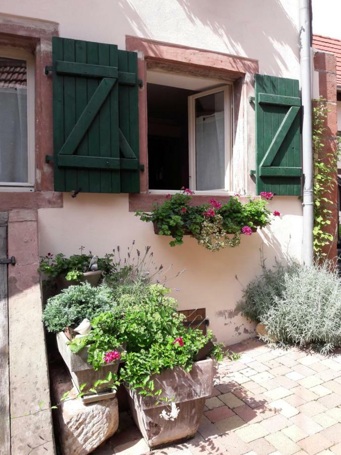 Charmant Petit Appartement En Alsace Bouxwiller  Exteriör bild